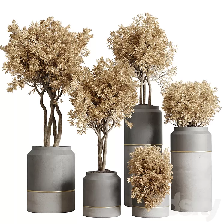 collection autumn leaves Indoor plant 128 dirty concrete pots dry plants corona 3D Model Free Download