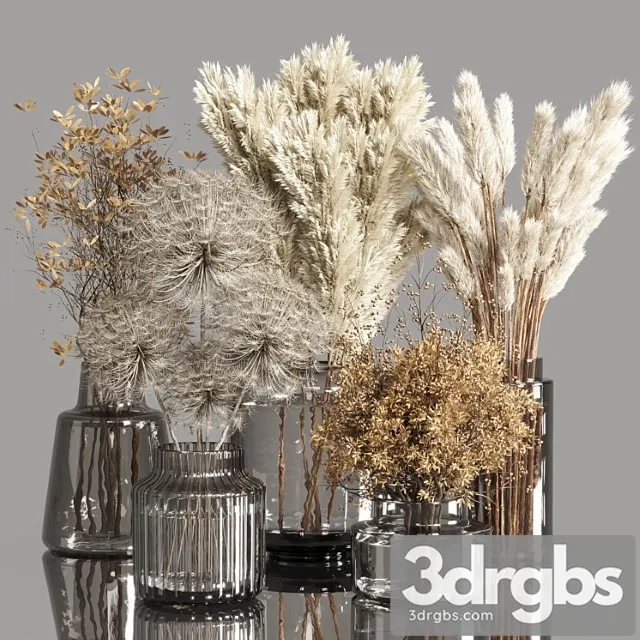 Collection Dry Plants Bouquet Indoor 02 3D Model Download Collection Dry Plants Bouquet Indoor 02 3D Model Download