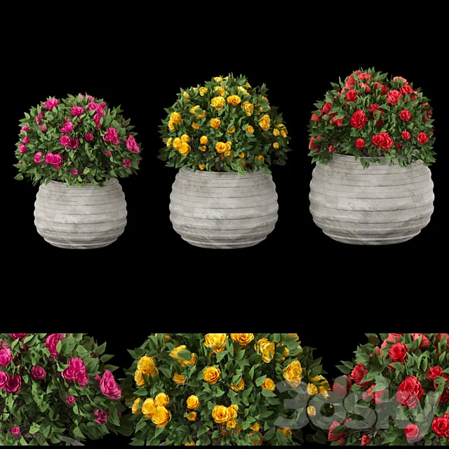 collection flowering bush vol 16 3D Model
