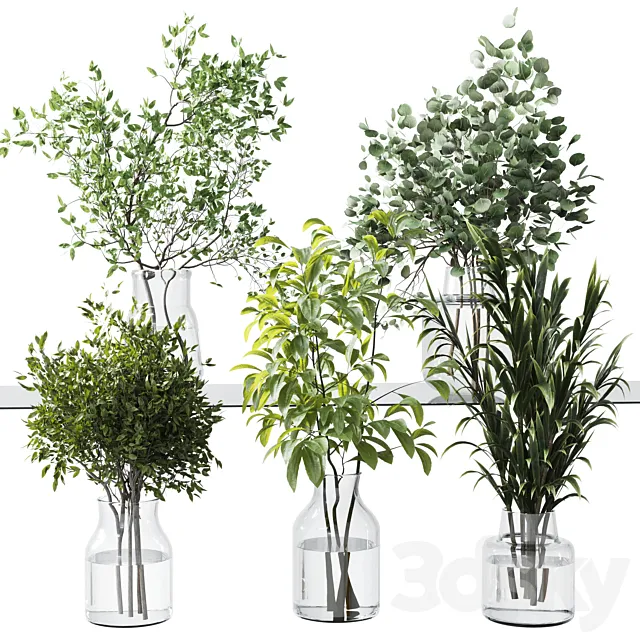 Collection Green Plants Bouquet Indoor 12 3D Model Collection Green Plants Bouquet Indoor 12 3D Model