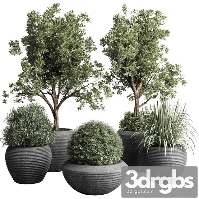 Collection Indoor Outdoor Plant 120 Plant Tree Grass Vase Dirty Concrete 3D Model Download