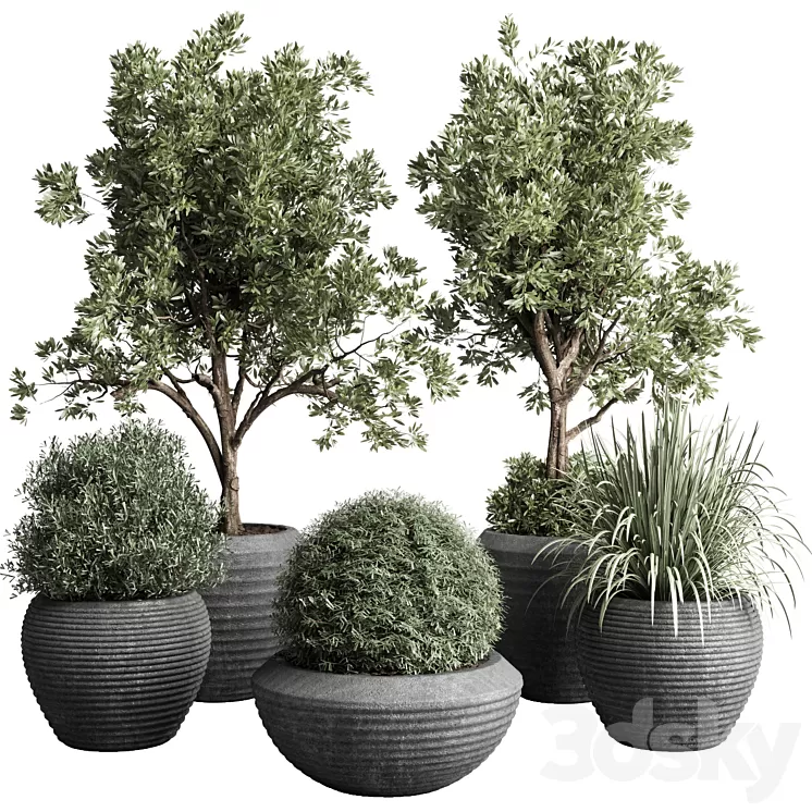 Collection indoor outdoor plant 120 plant tree grass vase dirty concrete 3D Model Free Download