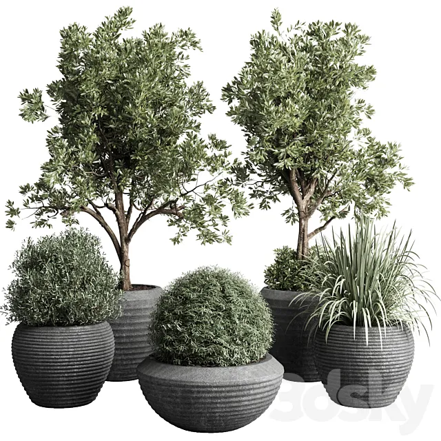 Collection indoor outdoor plant 120 plant tree grass vase dirty concrete 3DModel Collection indoor outdoor plant 120 plant tree grass vase dirty concrete 3DModel