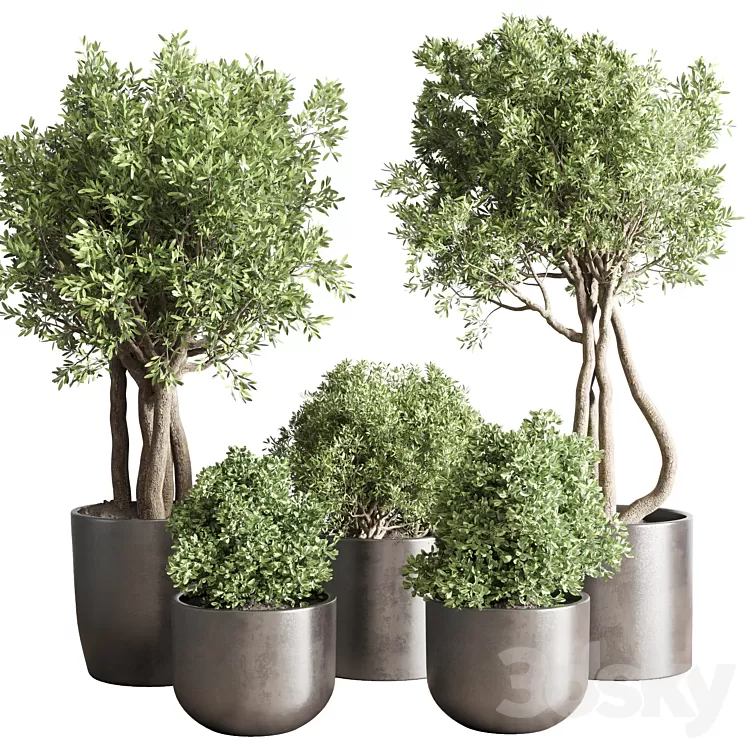 collection Indoor outdoor plant 122 pot tree plant bush dirty concrete vase pot 3D Model