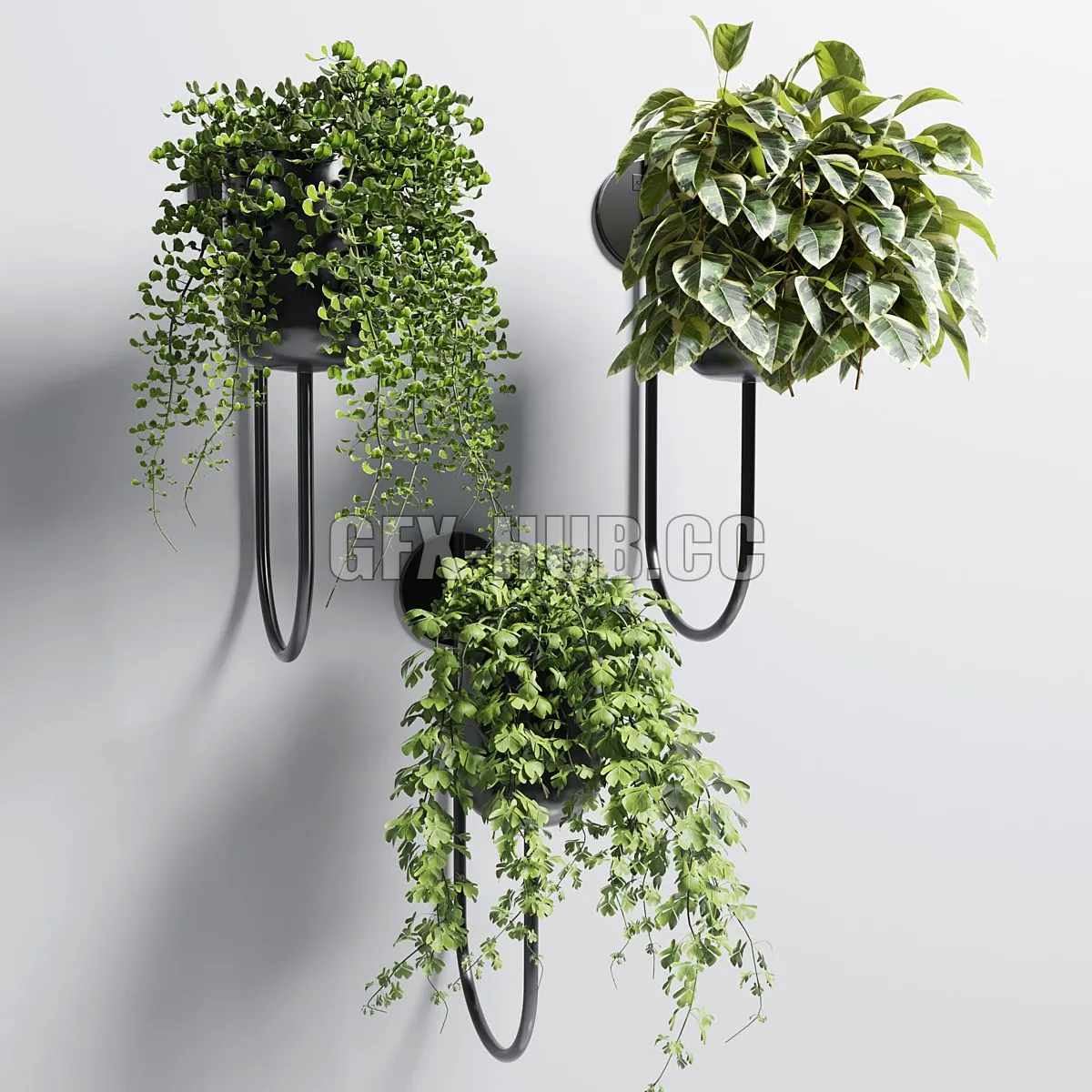 Collection Indoor plant 101 vase metal stand wall plant 3D Model