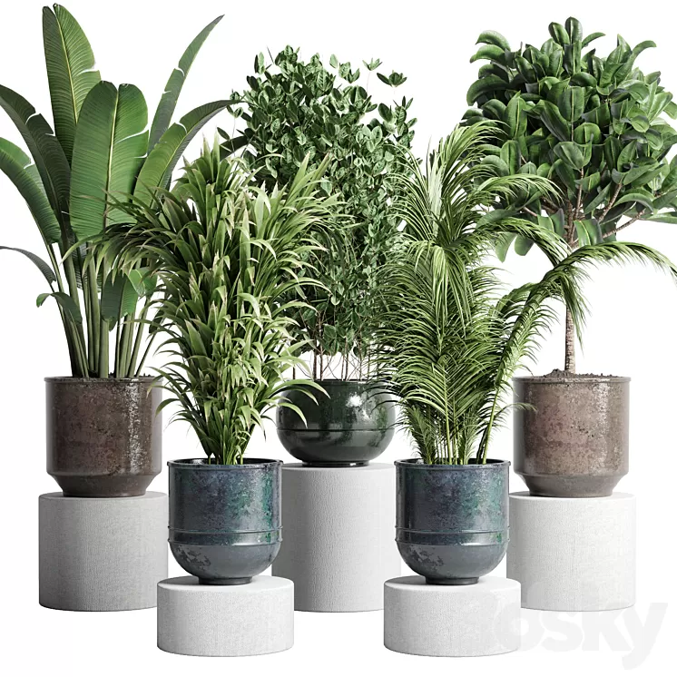 collection Indoor plant 115 metal dirt old vase handmade pot plant ravenala ficus rubbery palm 3D Model Free Download