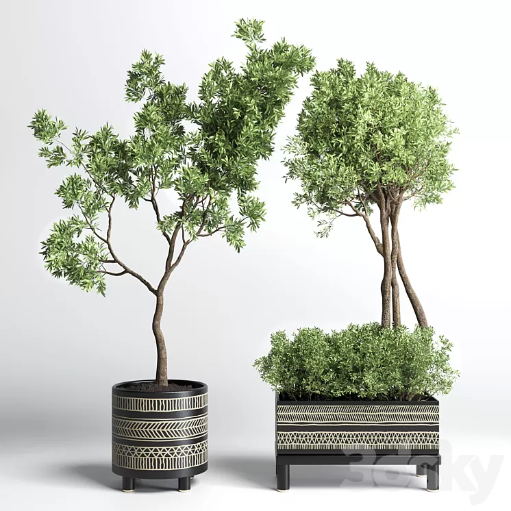 Collection Indoor plant 132 vase handmade pottery plant tree pot 3D Model