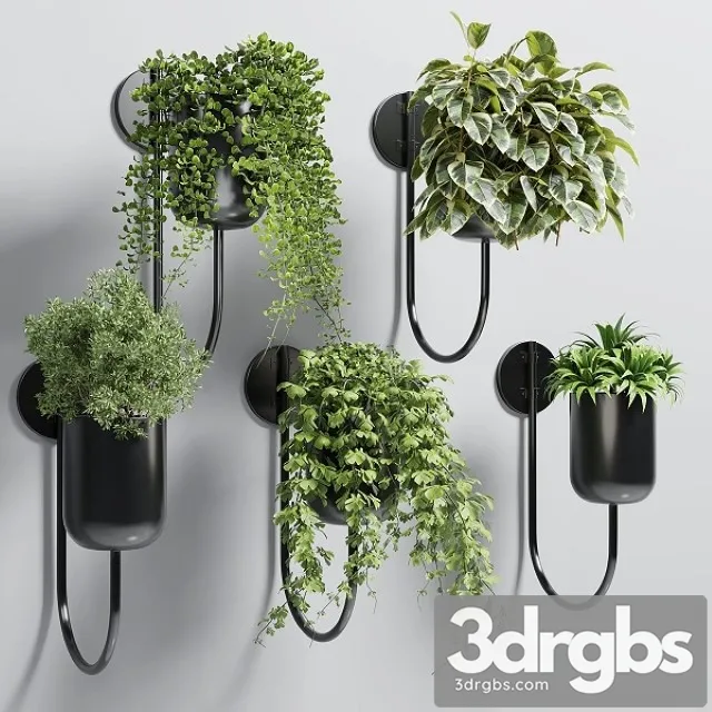 Collection Indoor Plant 135 Vase Metal Stand Wall Plant 3D Model Download