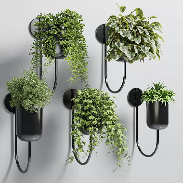 collection Indoor plant 135 vase metal stand wall plant 3D Model