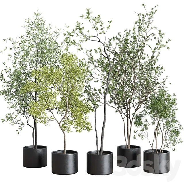 collection indoor plant 326 concrete vase 3D Model