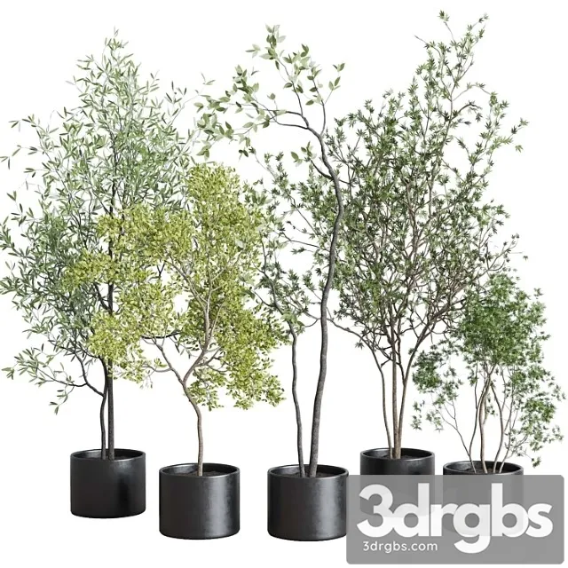 Collection indoor plant 326 concrete vase Collection indoor plant 326 concrete vase