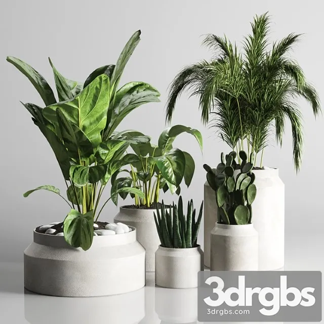 Collection Indoor Plant 33 Concrate Vase 3D Model Download