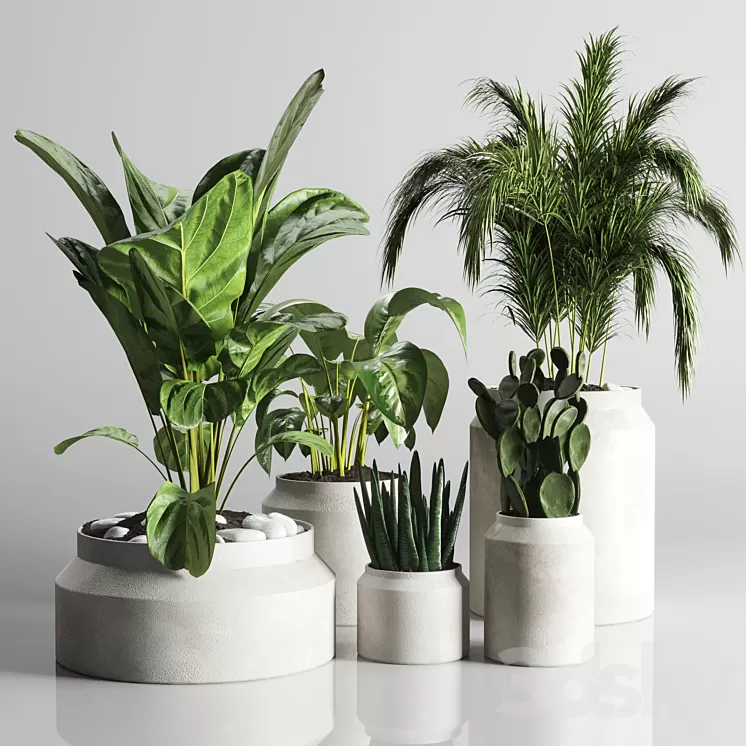 collection Indoor plant 33-concrate vase 3D Model Free Download