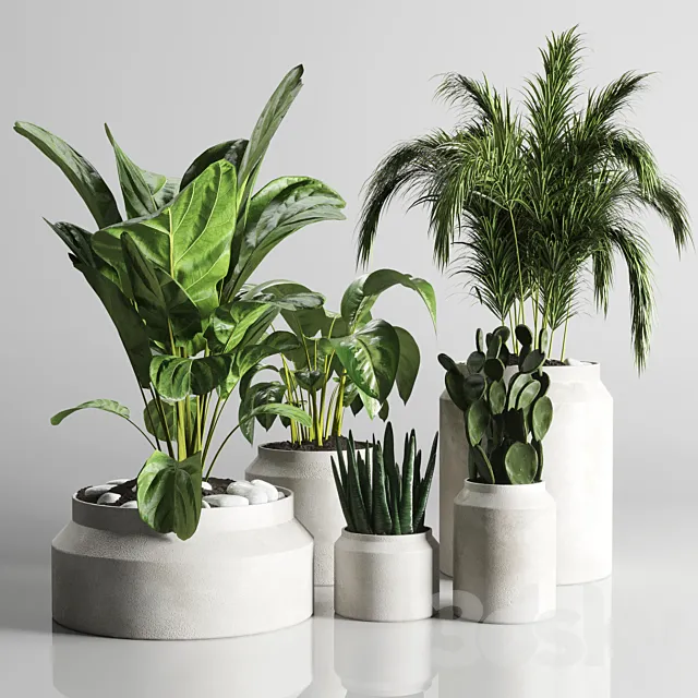 collection Indoor plant 33-concrate vase 3DModel