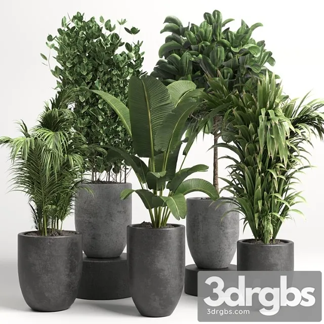 Collection indoor plant 46 vase concrete Collection indoor plant 46 vase concrete