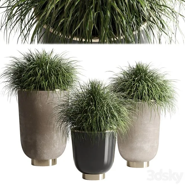 collection Indoor plant 54 vase concrete plant grass pot 3D Model collection Indoor plant 54 vase concrete plant grass pot 3D Model