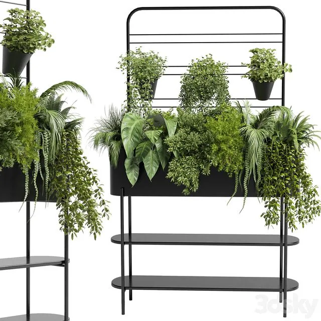 Collection Indoor plant 69 Auckland Black Metal Flower Box plant ivy fern pots 3D Model Collection Indoor plant 69 Auckland Black Metal Flower Box plant ivy fern pots 3D Model