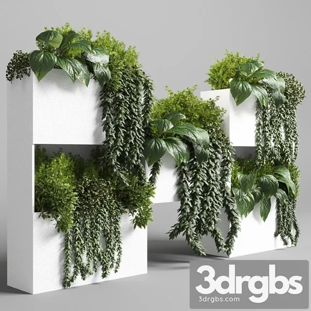 Collection indoor plant-plant stand white concrete vase set 05 Collection indoor plant-plant stand white concrete vase set 05