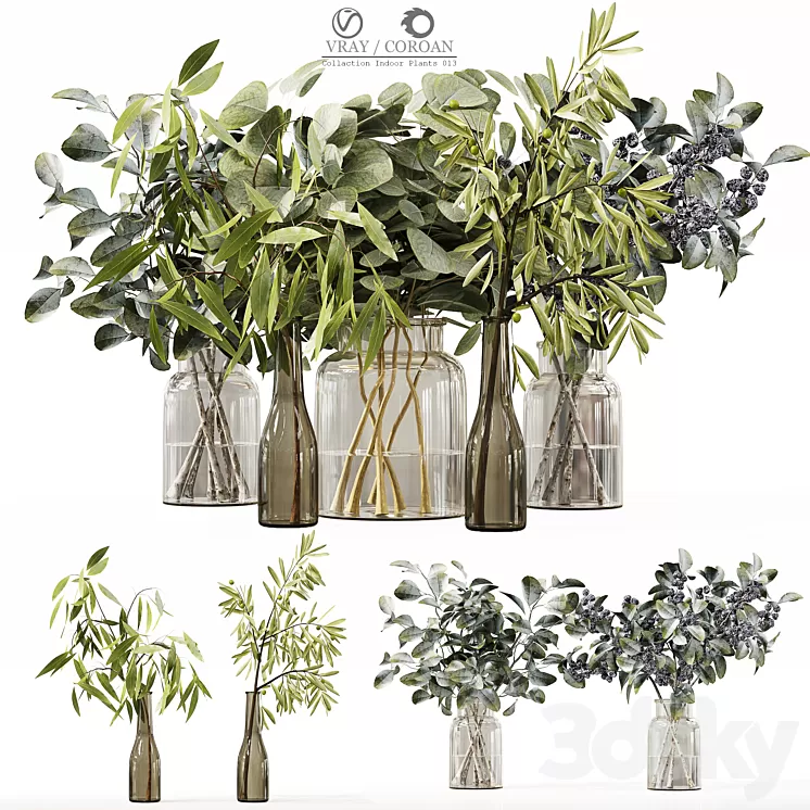 Collection Indoor Plants 013 3D Model Free Download