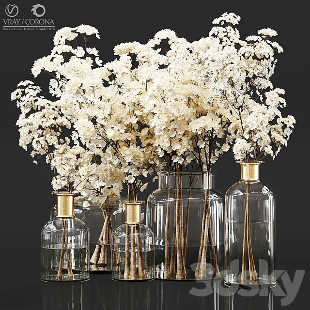 Collection Indoor Plants 014 3D Model Collection Indoor Plants 014 3D Model