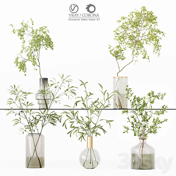 Collection Indoor Plants 017 3D Model Free Download Collection Indoor Plants 017 3D Model Free Download
