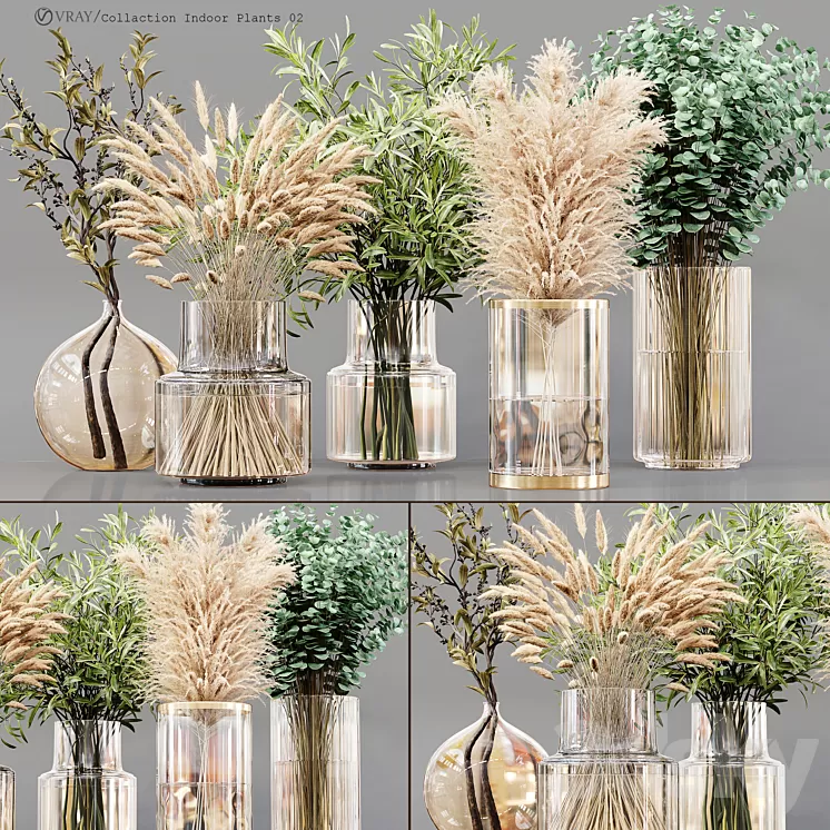 Collection Indoor Plants 02 3D Model Free Download