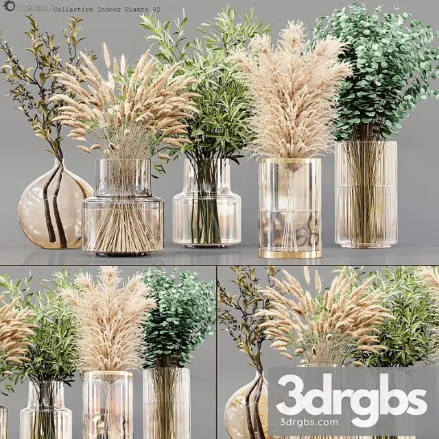 Collection Indoor Plants 02 3D Model Download Collection Indoor Plants 02 3D Model Download