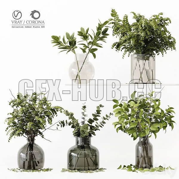 Collection Indoor Plants 020 3D Model Collection Indoor Plants 020 3D Model