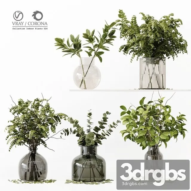 Collection Indoor Plants 020 3D Model Download Collection Indoor Plants 020 3D Model Download