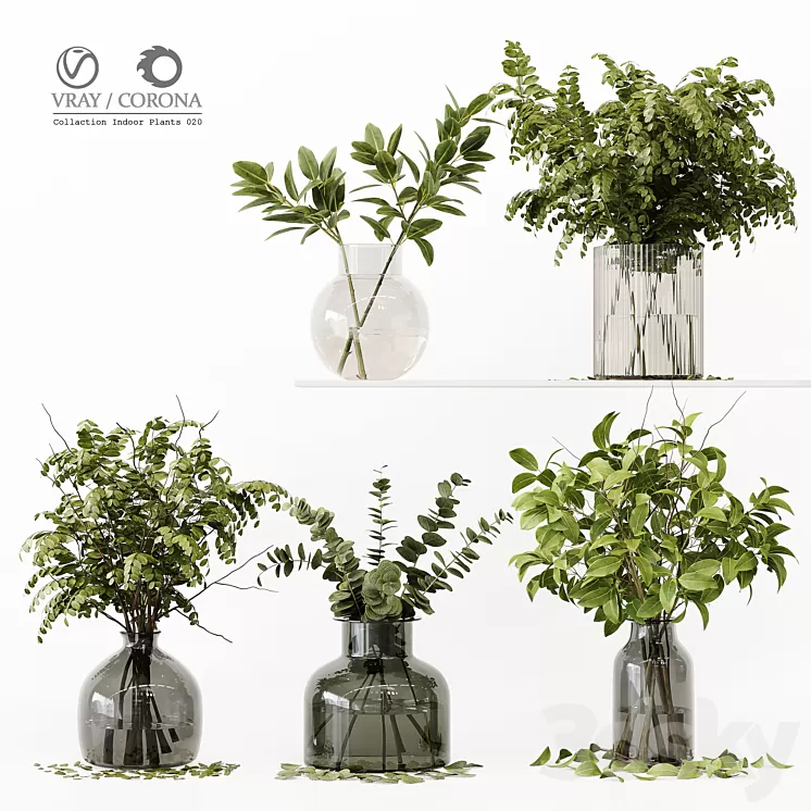 Collection Indoor Plants 020 3D Model Free Download
