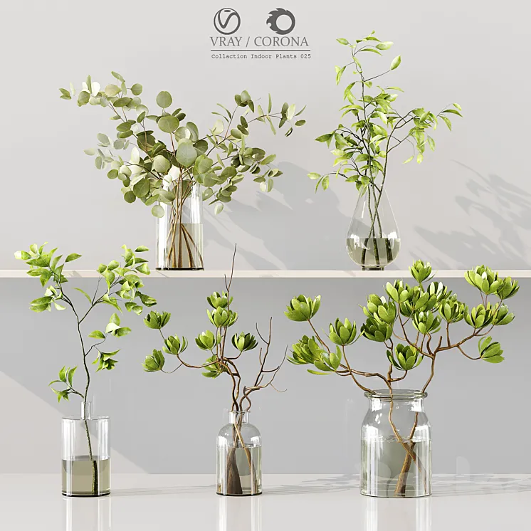 Collection Indoor Plants 025 3D Model Free Download