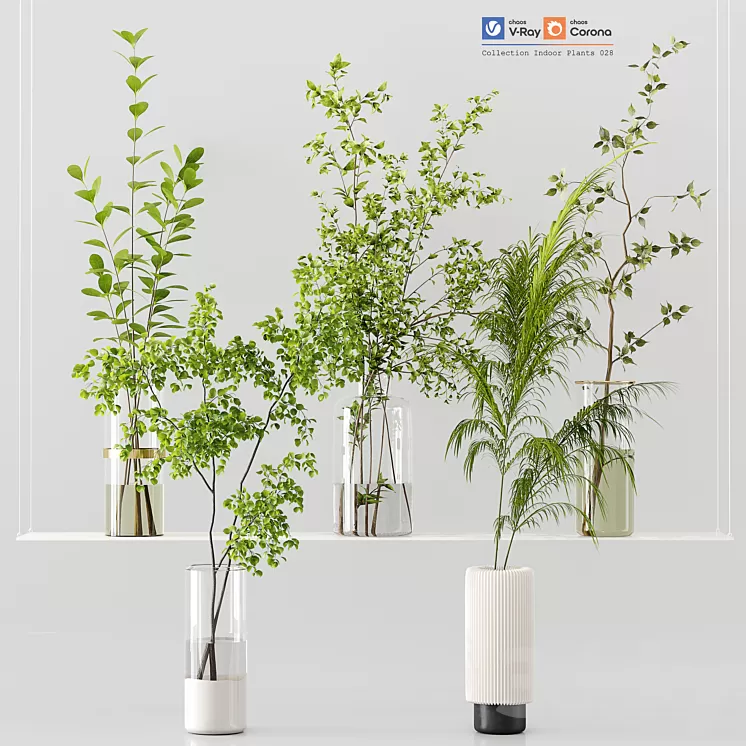 Collection Indoor Plants 028 3D Model Free Download