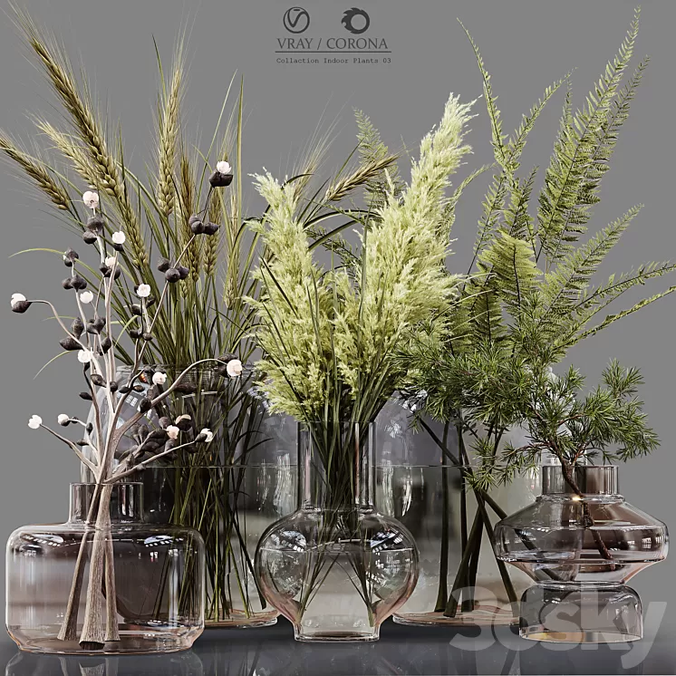 Collection Indoor Plants 03 3D Model Free Download
