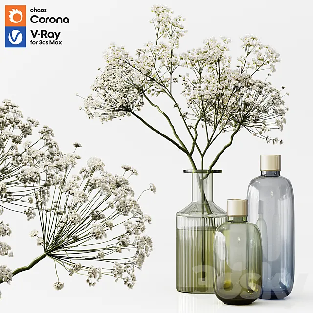 Collection Indoor Plants 03 3DModel Collection Indoor Plants 03 3DModel