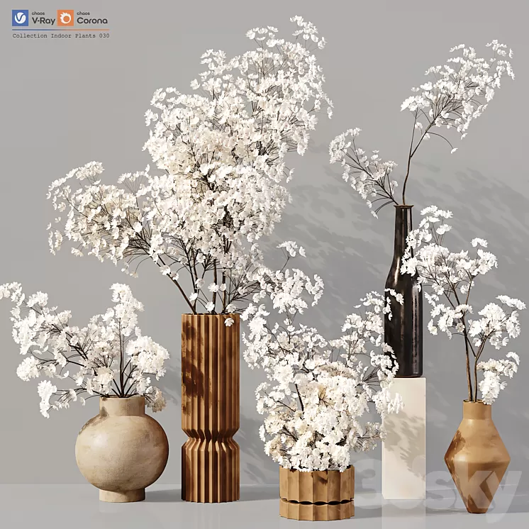 Collection Indoor Plants 030 3D Model Free Download