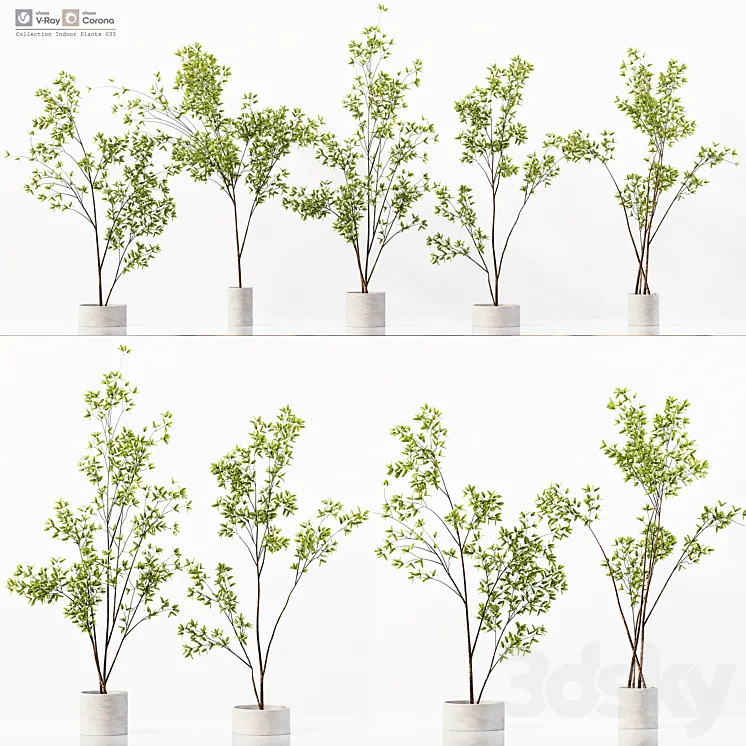 Collection Indoor Plants 033 3D Model Free Download