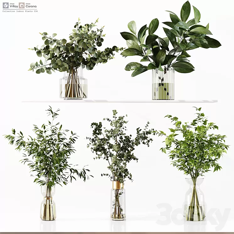 Collection Indoor Plants 034 3D Model Free Download