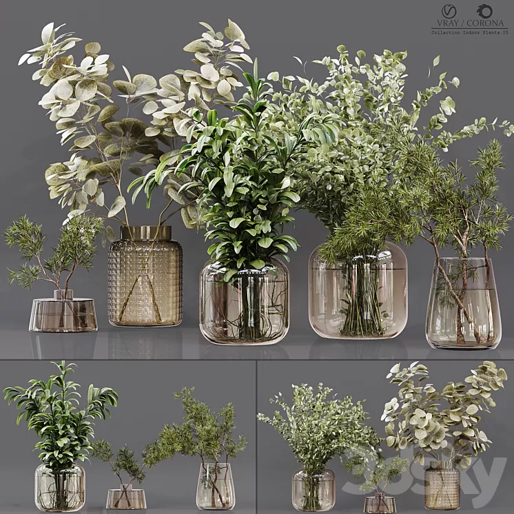 Collection Indoor Plants 05 3D Model Free Download