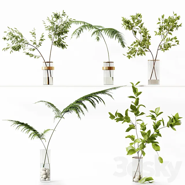 Collection Indoor Plants 058 3D Model
