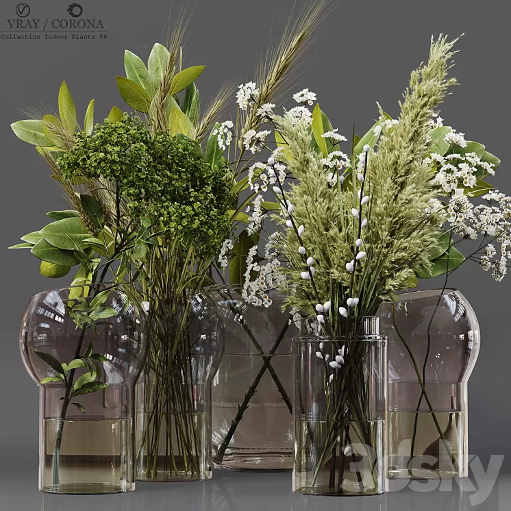 Collection Indoor Plants 06 3D Model Free Download