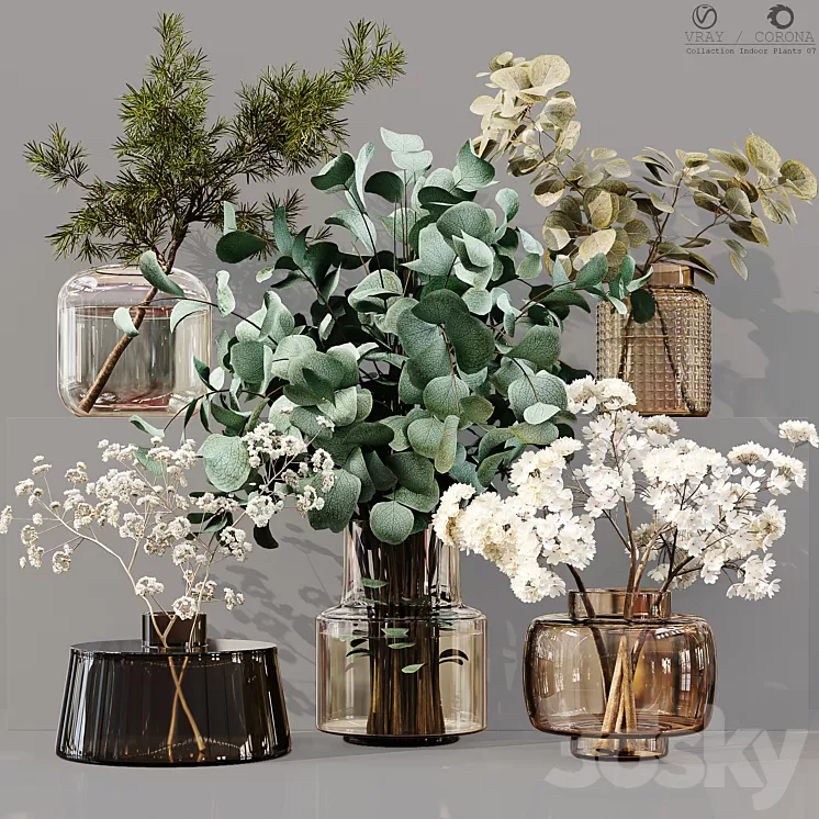 Collection Indoor Plants 07 3D Model Free Download Collection Indoor Plants 07 3D Model Free Download