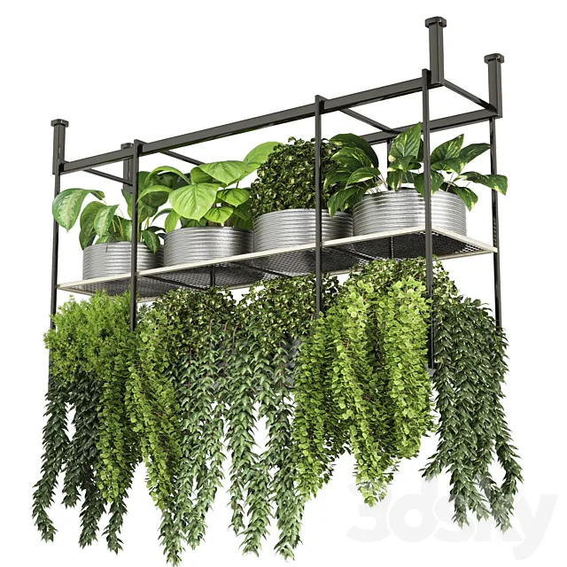 collection Indoor plants hanging pot-metal bax vase 04 3D Model