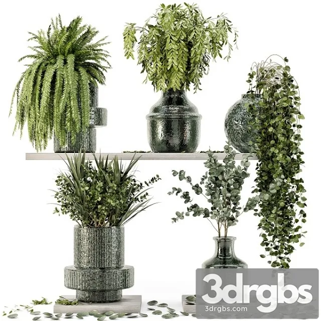 Collection Indoor Plants in Glass Pots 3D Model Download