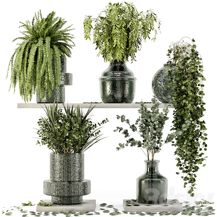 Collection Indoor Plants in Glass Pots – Set 695 3D Model Free Download