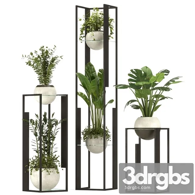 Collection Indoor Plants Nim12 3D Model Download