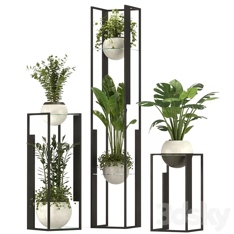 Collection Indoor Plants Nim12 3D Model Free Download
