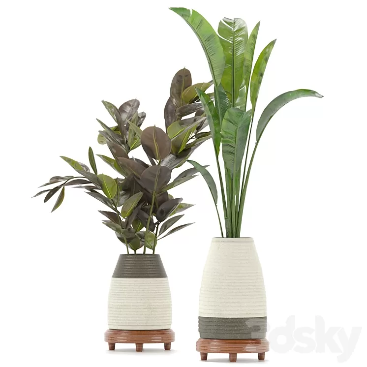 Collection Indoor Plants Set Nim01 3D Model Free Download