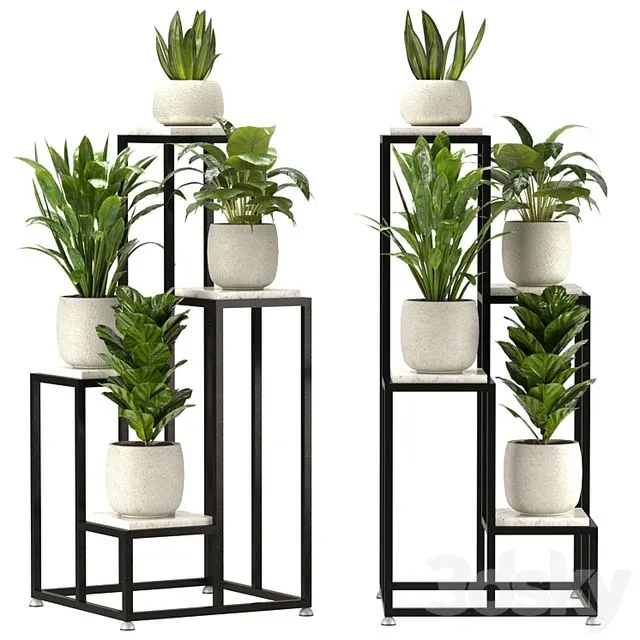 Collection Indoor Plants Set Nim08 3D Model Collection Indoor Plants Set Nim08 3D Model
