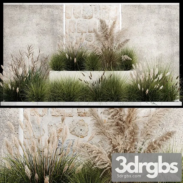 Collection of Flowerbed Plants and Shrubs with Grass for Landscape Design Pampas Grass Cortaderia and White Reed 1126 3D Model Download