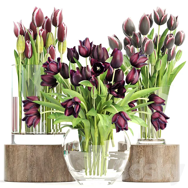 Collection of flowers 1. Tulips flower vase spring flowers decor 3D Model Collection of flowers 1. Tulips flower vase spring flowers decor 3D Model